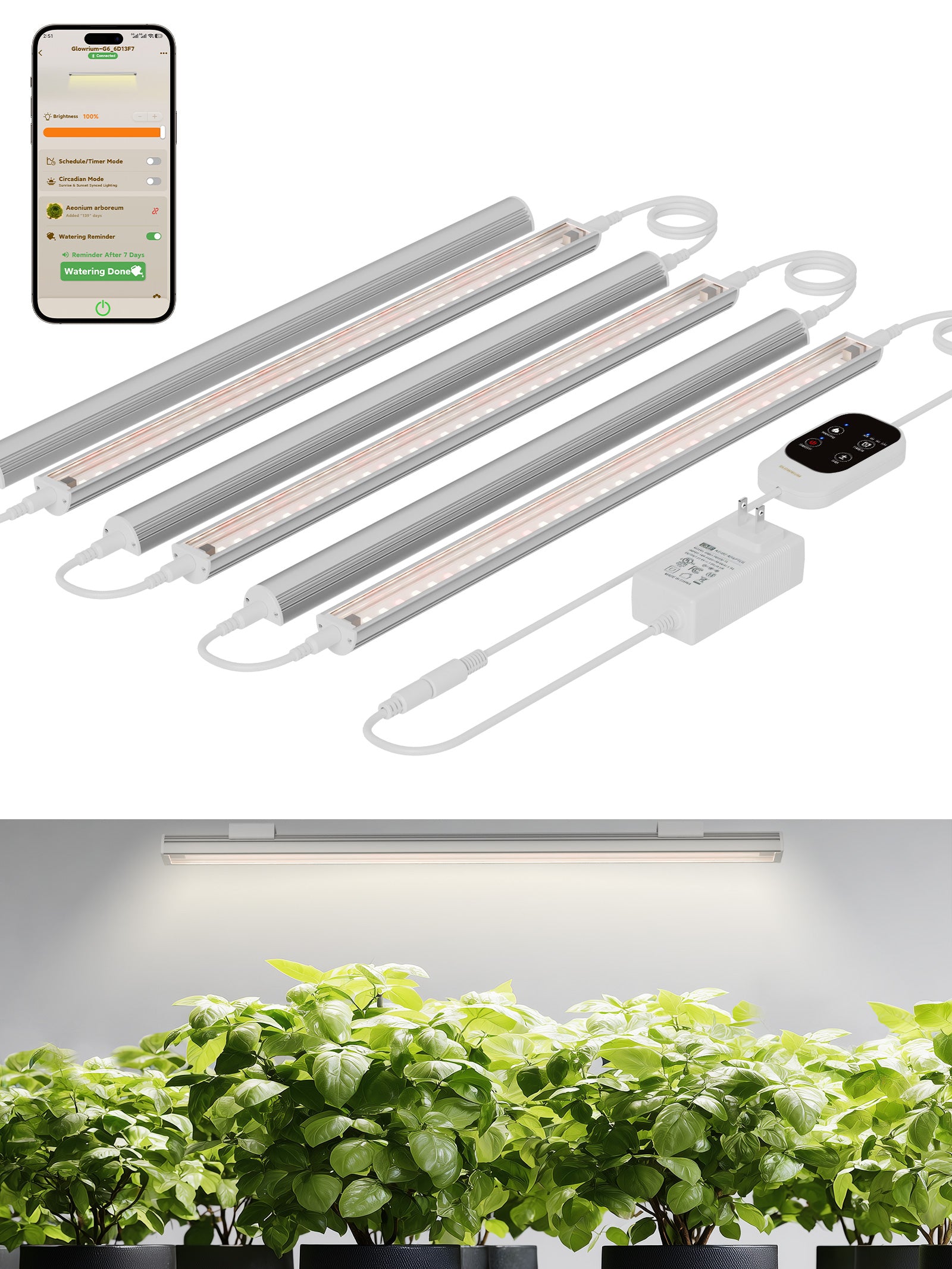 GLOWRIUM Smart Grow Light Strips with App Control – 15" Full Spectrum LED Plant Lights, Auto Timer, 3 Dimming Levels, for Indoor Plants & Shelves-G6