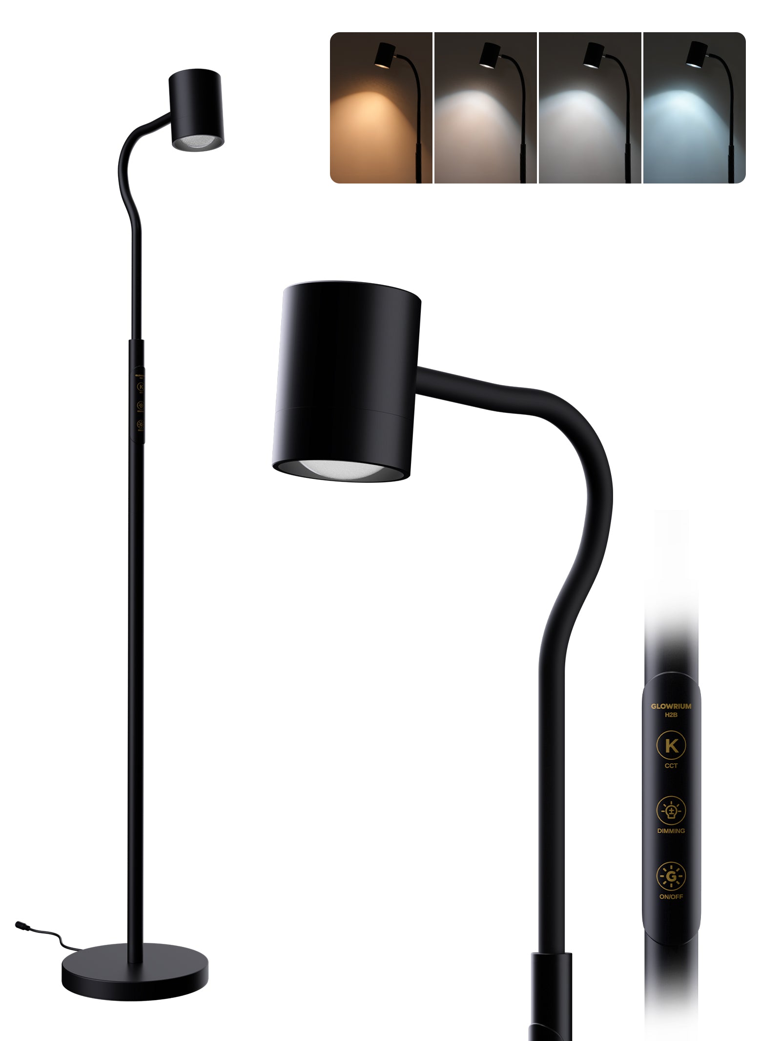 GLOWRIUM 12W LED Reading Floor Lamp H2B – 62" Tall, Dimmable Brightness & Color Temperature, Adjustable Gooseneck Touch Control, Suitable for Living Room, Bedroom, and Home Office