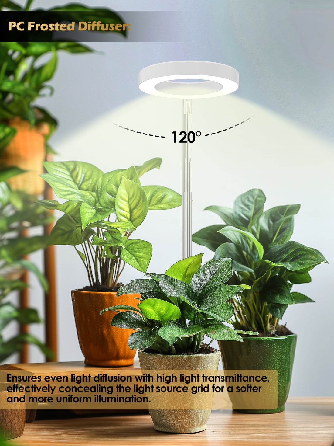 Full-Spectrum Plant Grow Light | Timed Dimming, Stable Base, Soft Light to Protect Plants