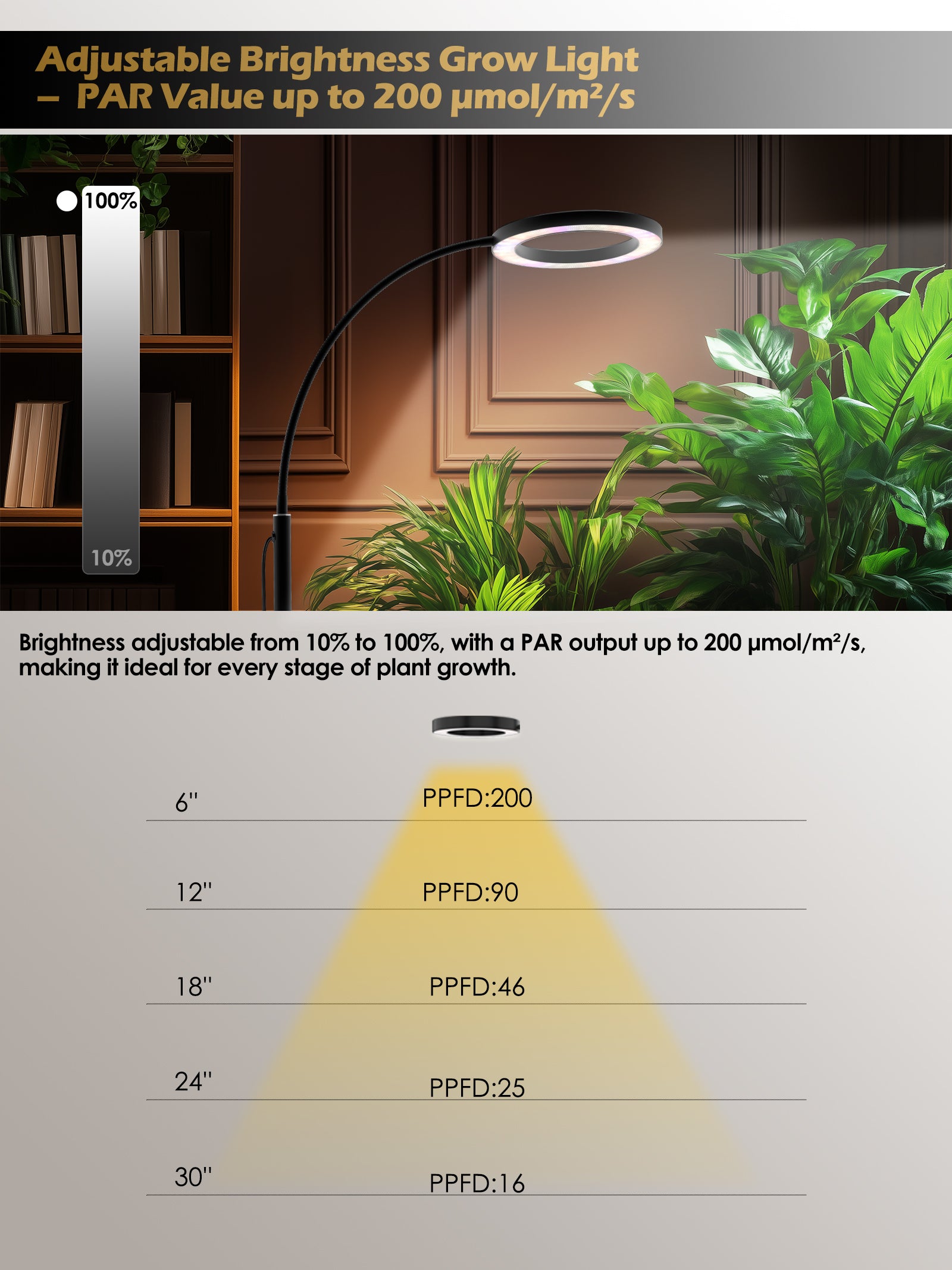 GLOWRIUM Full Spectrum 24W LED Grow Light for Indoor Plants – Adjustable Height, Timer, and Smart Care Features-G2Pro