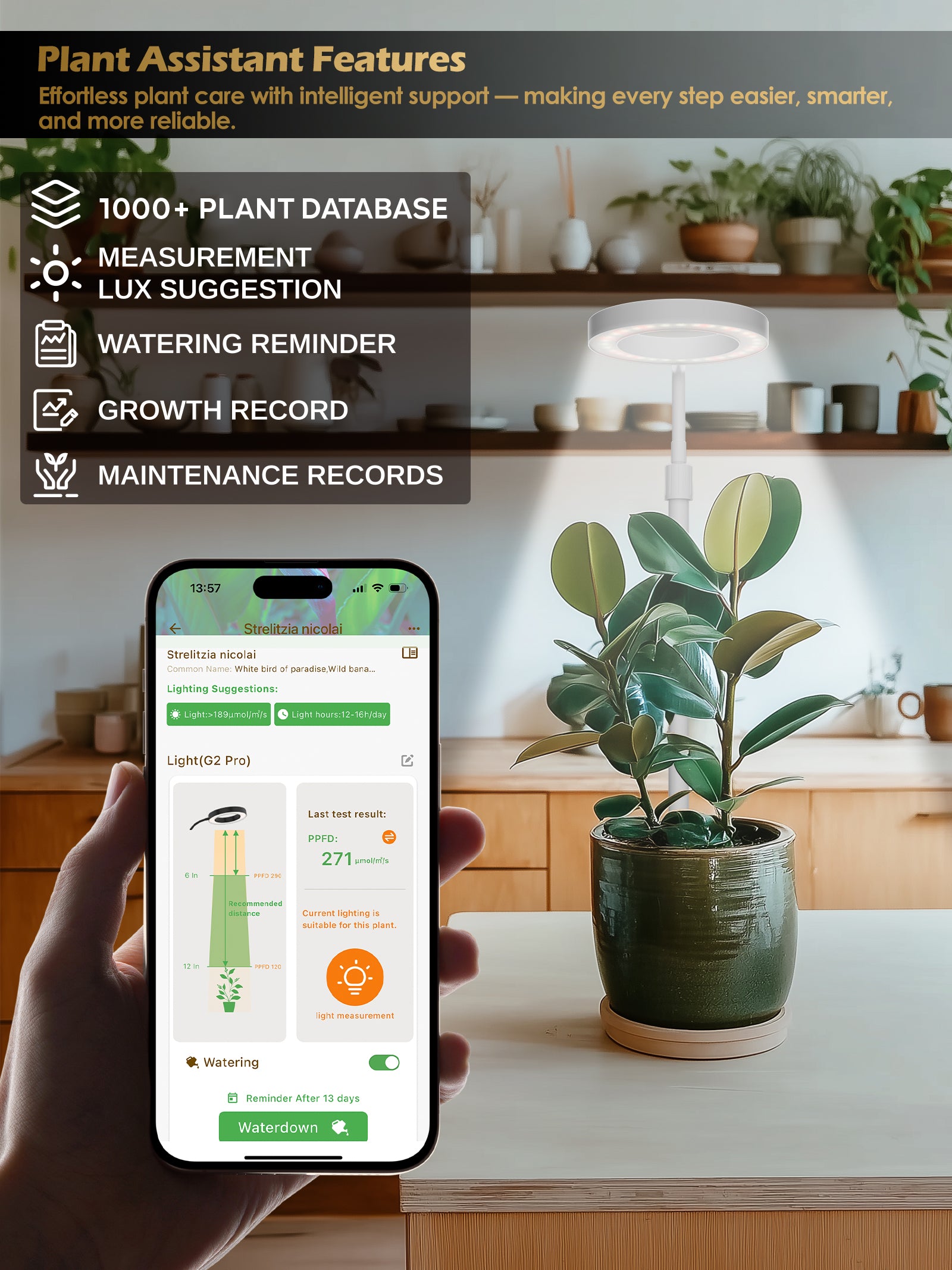 Glowrium 8W Smart Grow Light – Full-Spectrum LED for Indoor Plants with App Control, Custom Timer, Adjustable Height & Smart Plant Assistant