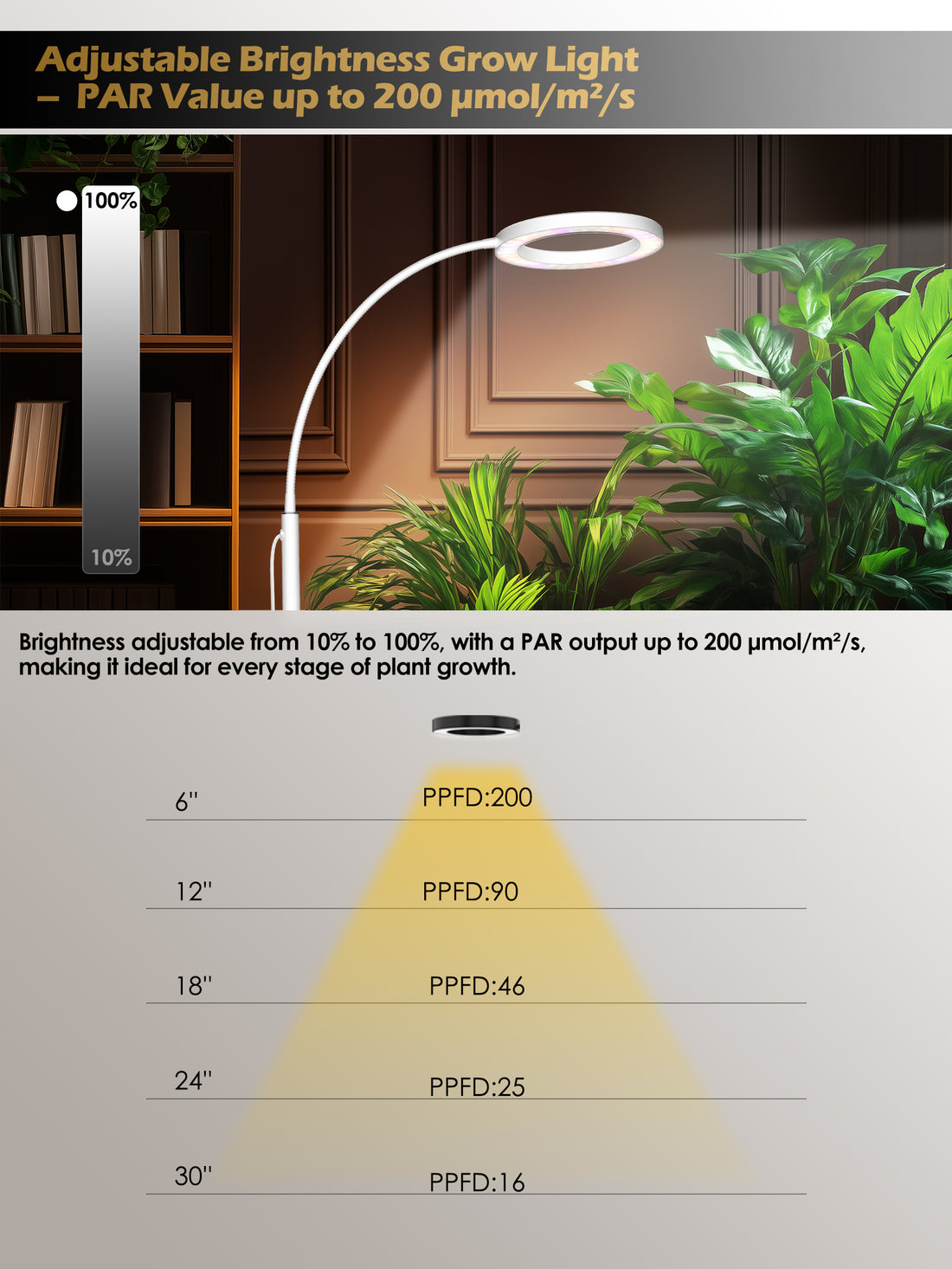 Full Spectrum LED Grow Light G2Pro 24W for Indoor Plants – Adjustable Height, Timer, and Smart Care Features