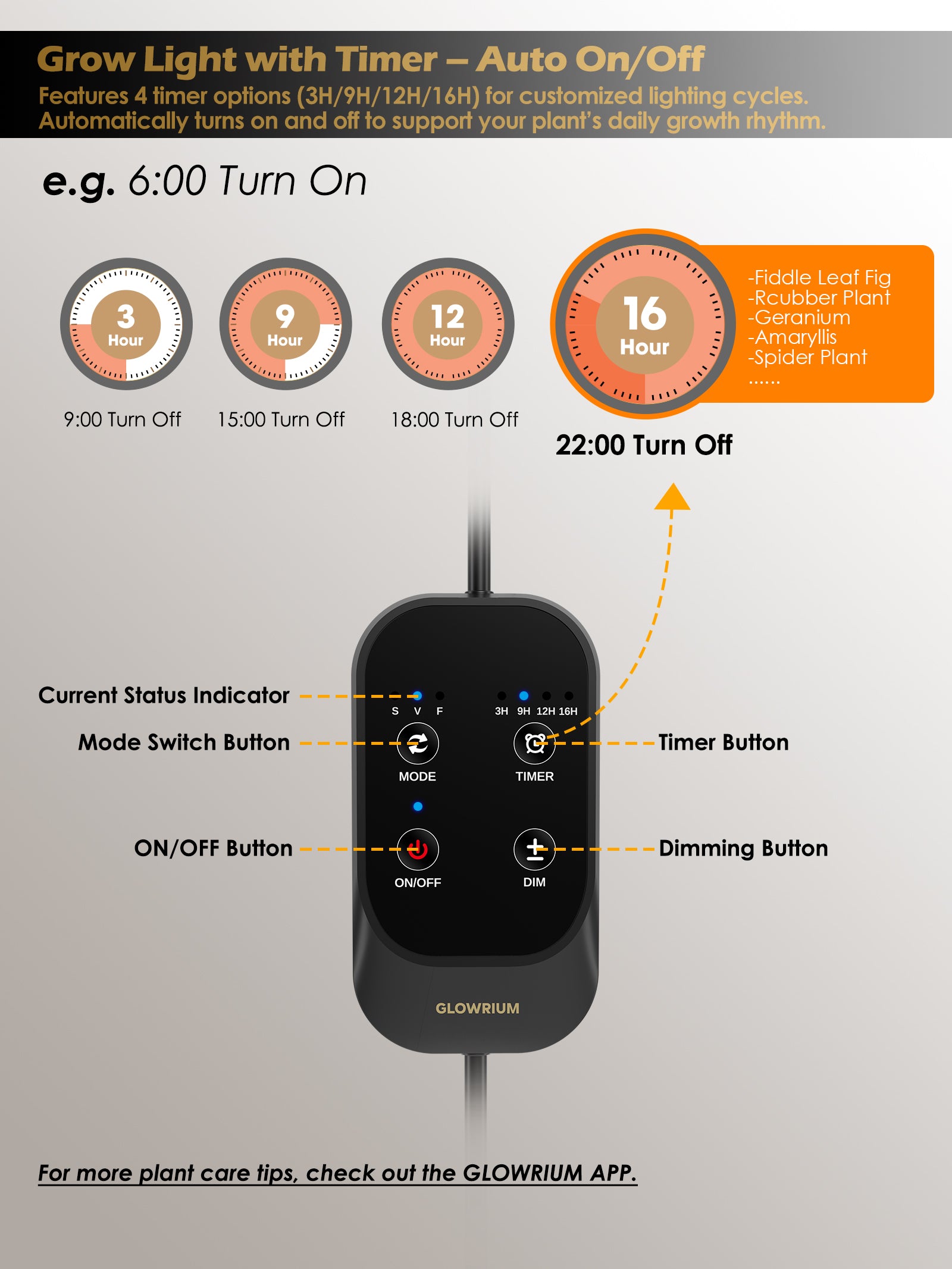 Full Spectrum LED Grow Light G2Pro 24W for Indoor Plants – Adjustable Height, Timer, and Smart Care Features