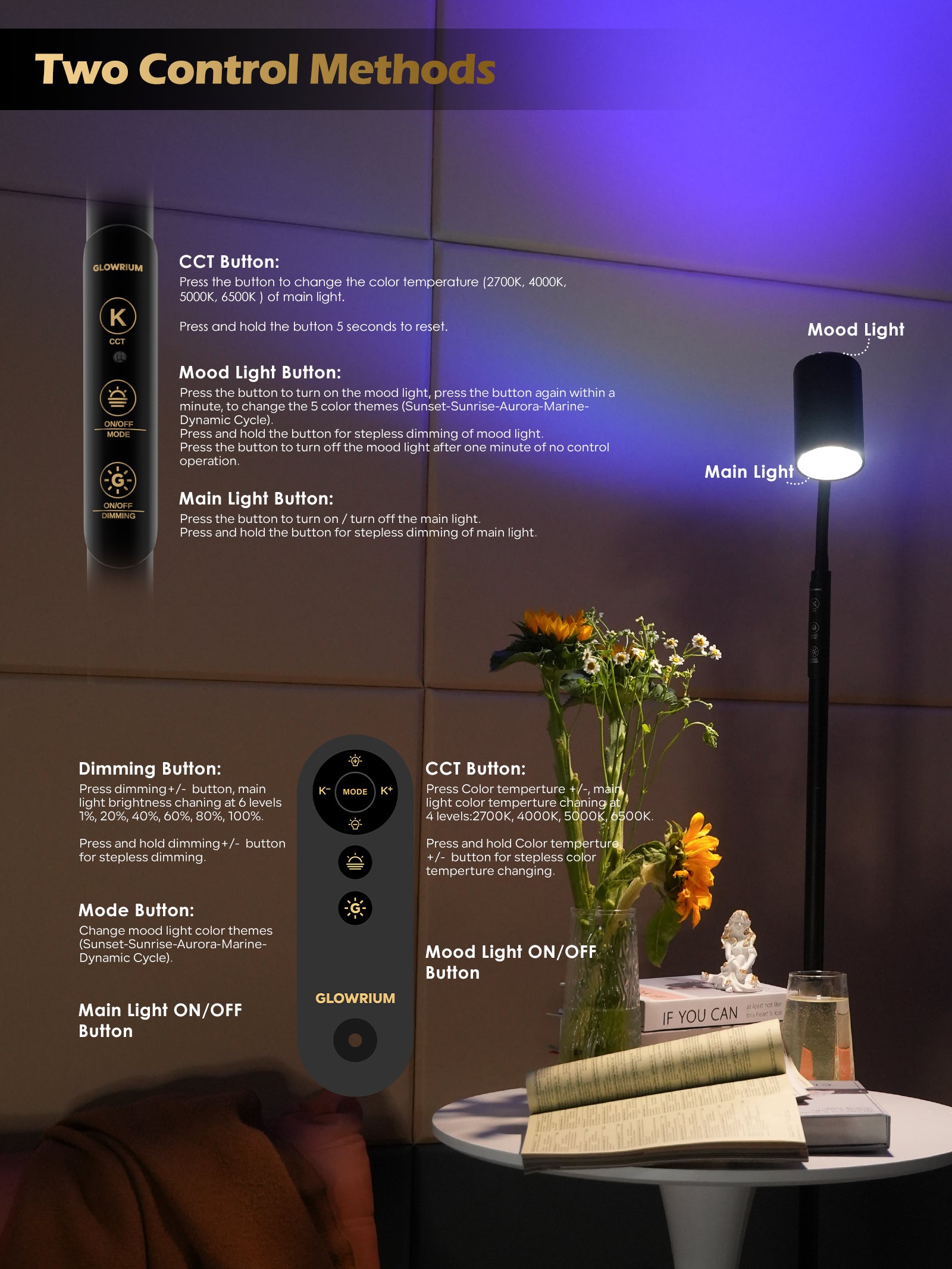 Floor Lamp-H2 Dual-Side LED for Living Room & Bedroom