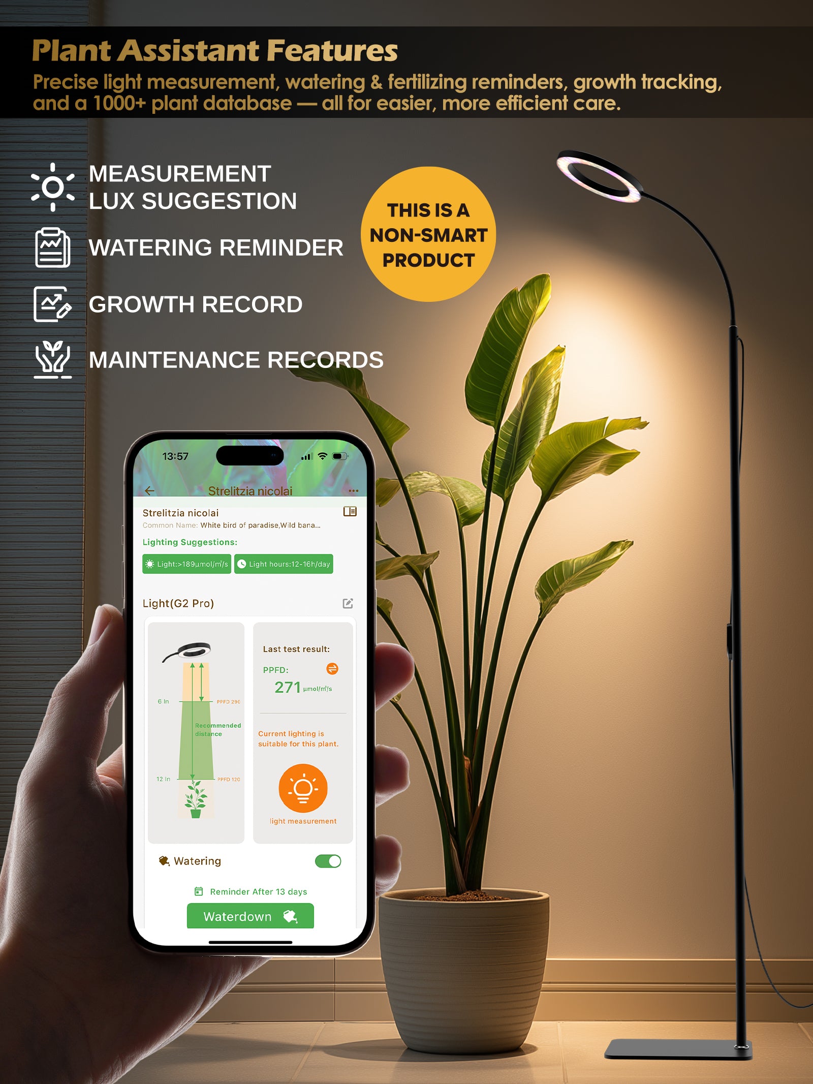 Full Spectrum LED Grow Light G2Pro 24W for Indoor Plants – Adjustable Height, Timer, and Smart Care Features