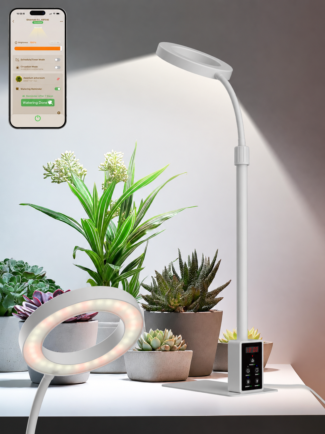 GLOWRIUM® G4 12W Smarte LED Pflanzenlampe - Vollspektrum Zimmerpflanzenlampe mit App-Steuerung, Höhenverstellbar, Dual-Timer, Pflanzenpflege-Assistent