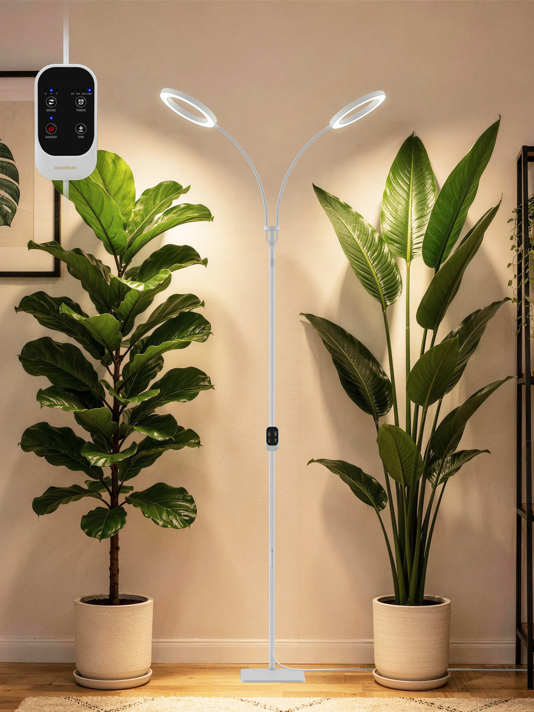 GLOWRIUM Full Spectrum 48W Plant Grow Light – Indoor LED Light with Timer, Height Adjustment & Stepless Dimming-G2Pro