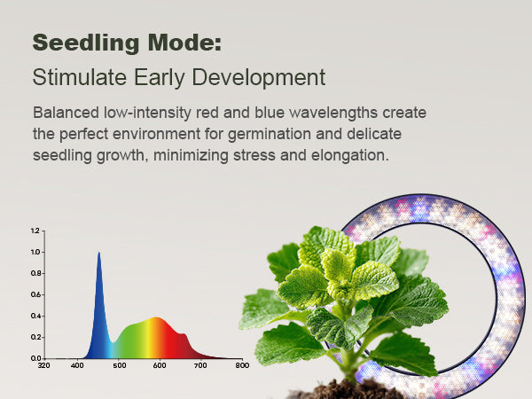 Perfect for seedlings: Low-intensity spectrum on Glowrium G2 Pro LED