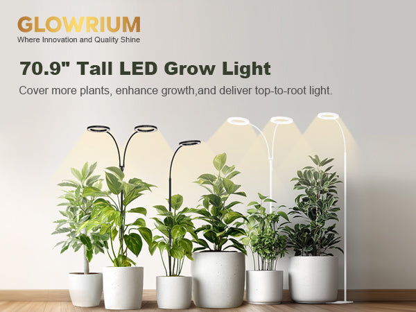 Efficient indoor gardening with Glowrium G2 Pro floor plant light