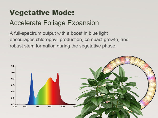 Encourage lush leaves: Vegetative mode spectrum on Glowrium G2 Pro