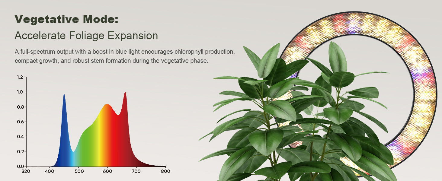 Vegetative mode spectrum of Glowrium G2 Pro LED grow light for leafy growth