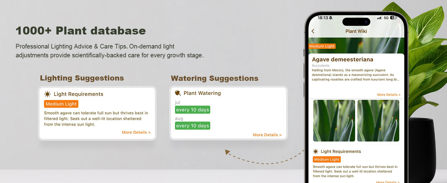 Glowrium G4 plant wiki database providing scientifically-backed lighting and watering suggestions