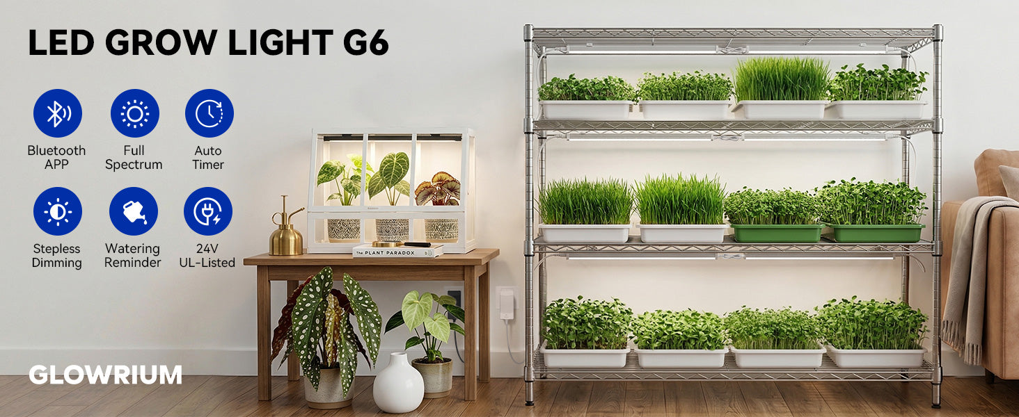 GLOWRIUM G6 smart full spectrum LED grow lights setup on indoor multi-tier metal plant shelves