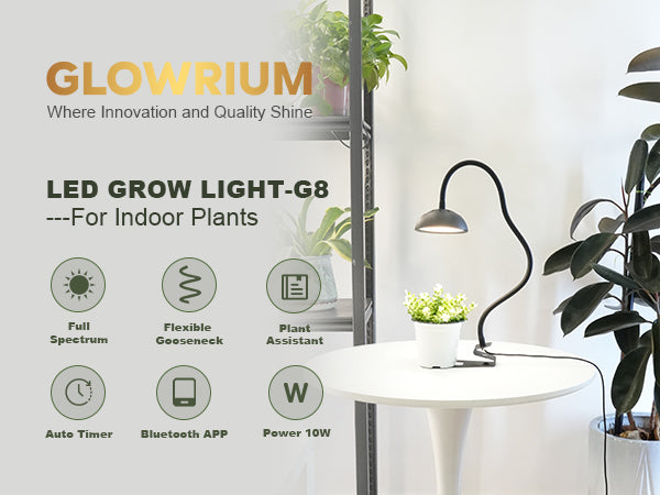 Glowrium G8 desktop plant lights styling indoor spaces for succulents and aloe on tables