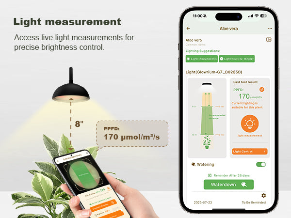 Using Glowrium smart plant assistant app to measure real-time PAR and light output over indoor plants under grow light