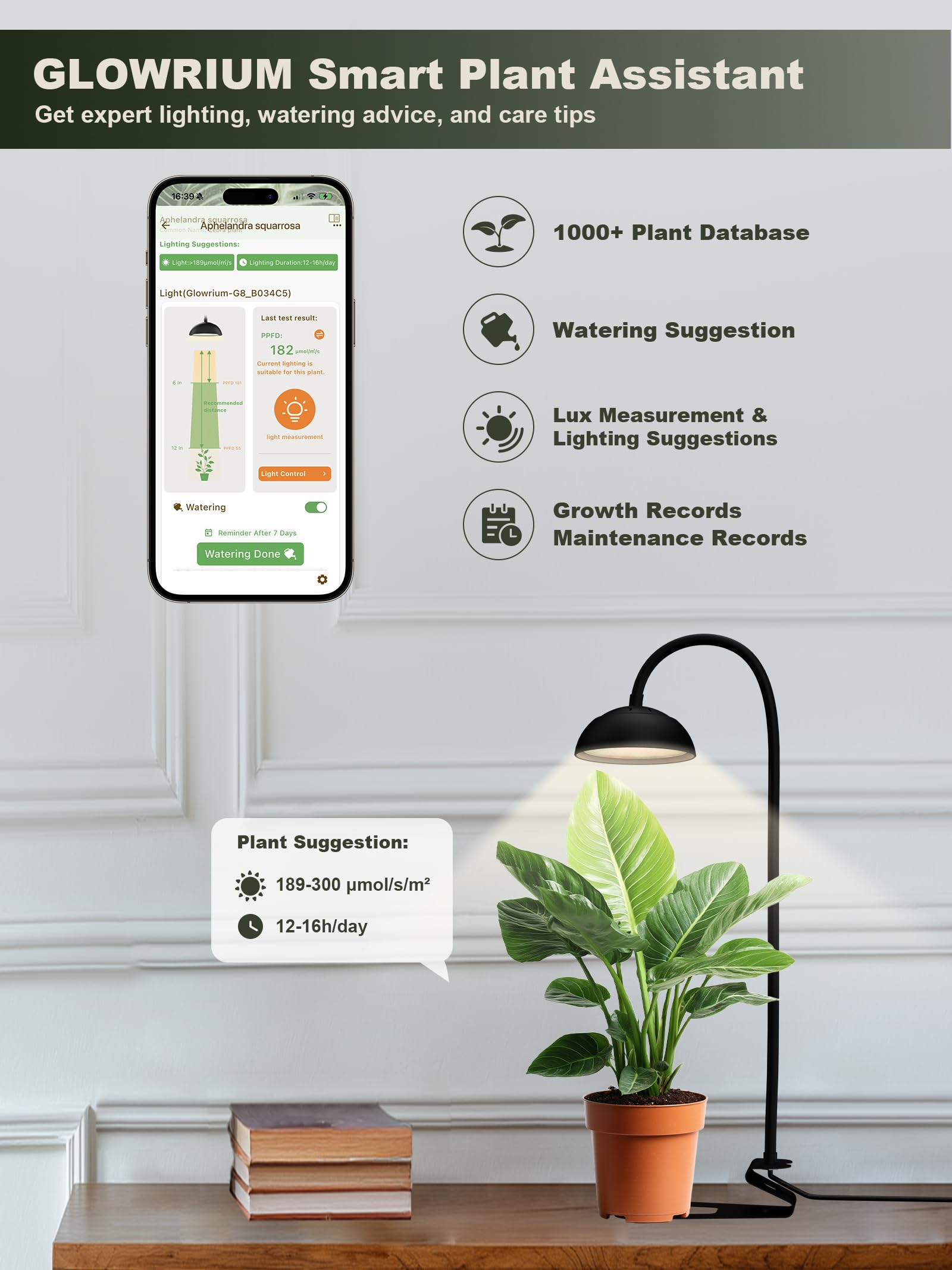 Glowrium G8 smart desk plant light running the App plant assistant database to provide PPFD light measurement and watering suggestions for indoor plants