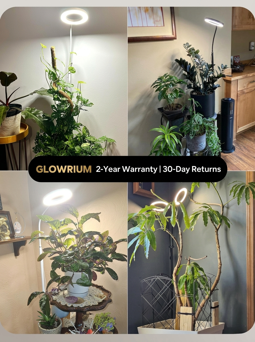 GLOWRIUM G2 | Full Spectrum LED Grow Light for Indoor Plants with Adjustable Height and Angle, Plant Light with 3/9/12/16H Timer