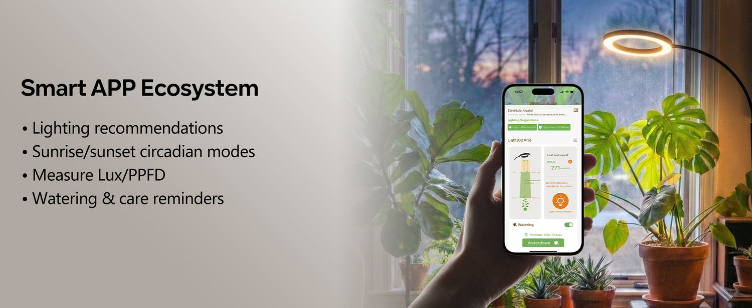Glowrium G5 smart app ecosystem features listing specialized lighting recommendations, sunrise and sunset circadian modes, live Lux and PPFD light meter measurement, and watering reminders