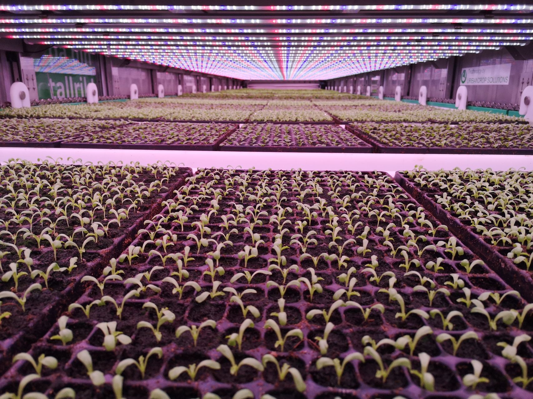 How to Choose a Led Grow Light