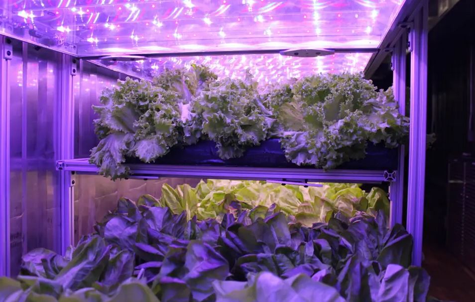 Benefits of Vertical Container Farming