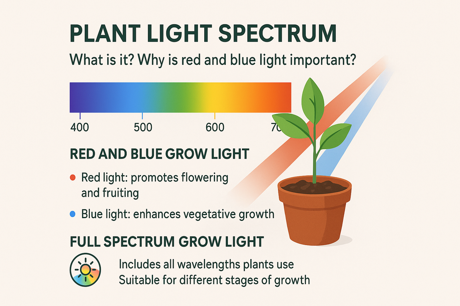 What Is Light Spectrum in Grow Lights? Why Are Red and Blue Light So Important?