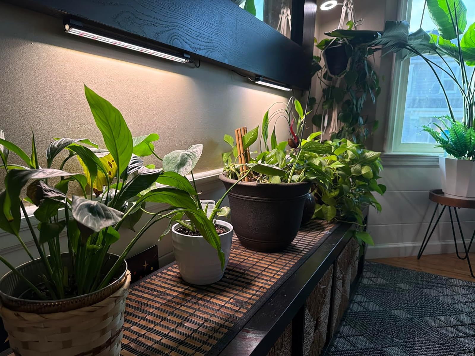 How to Keep Indoor Plants Growing During Winter’s Short Days with Smart Grow Lights