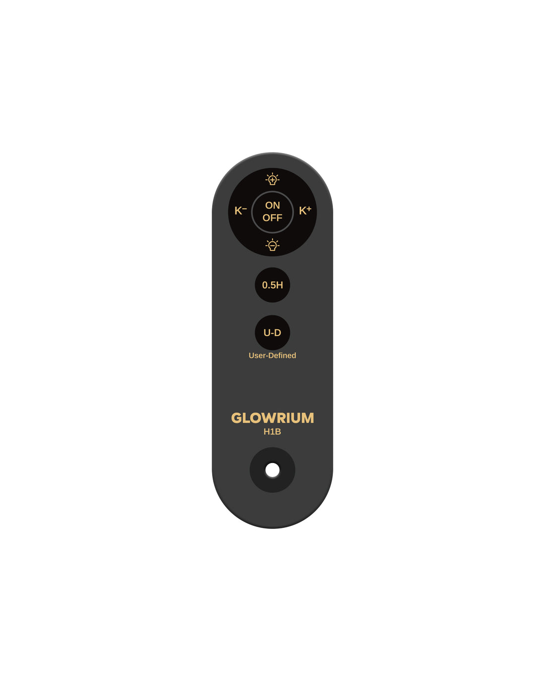 H1B Floor Lamp – Remote Control