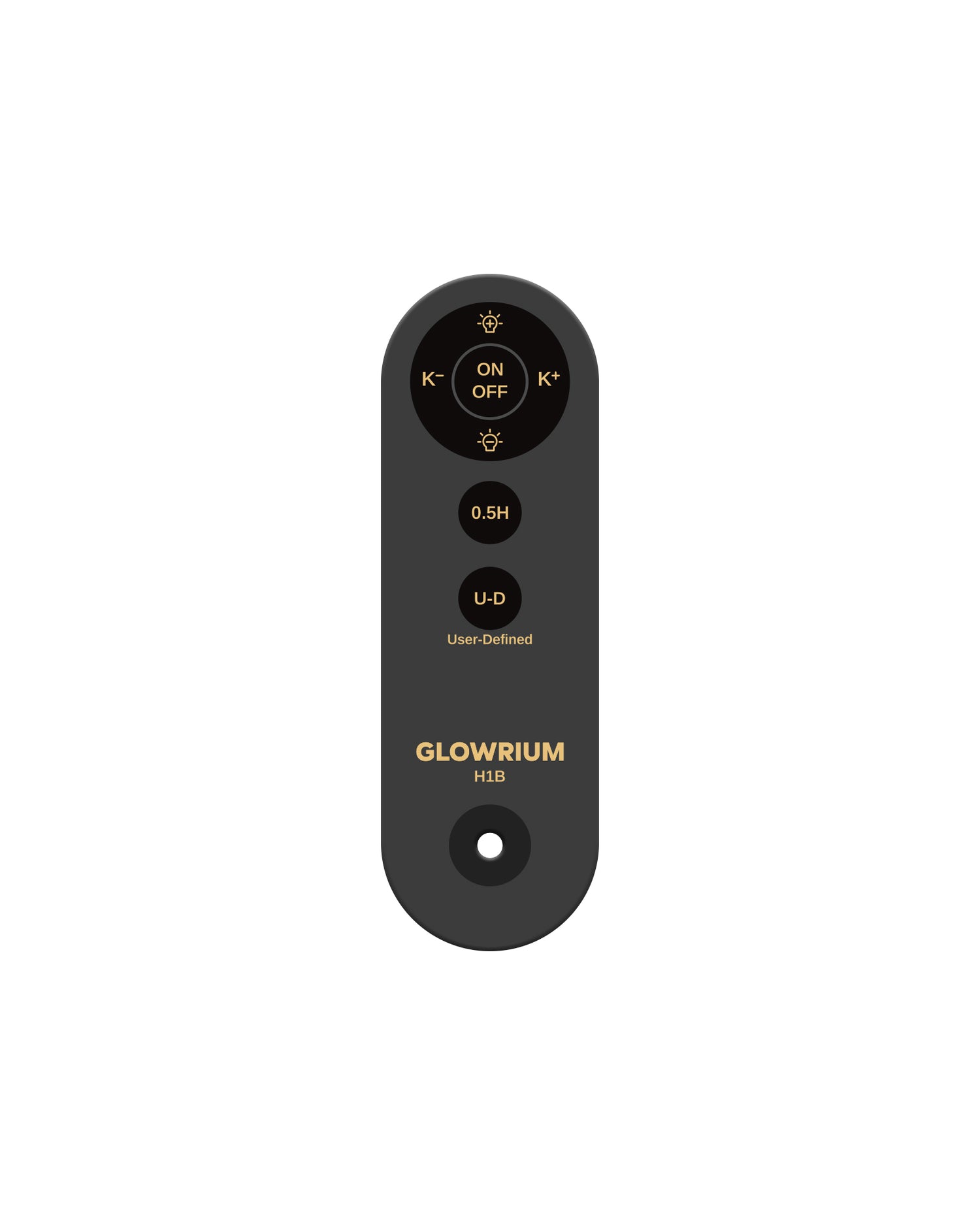 H1B Floor Lamp – Remote Control