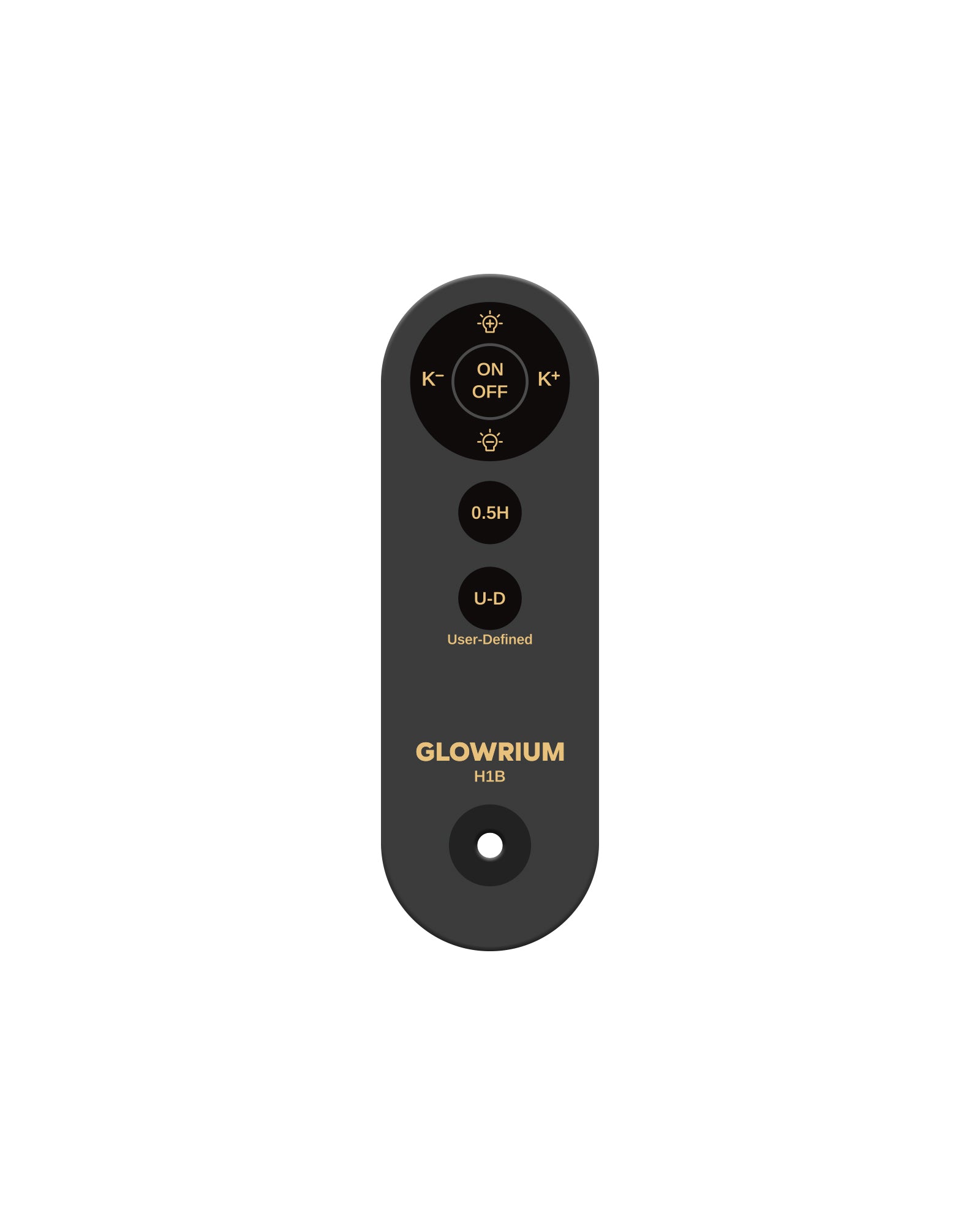 H1B Floor Lamp – Remote Control