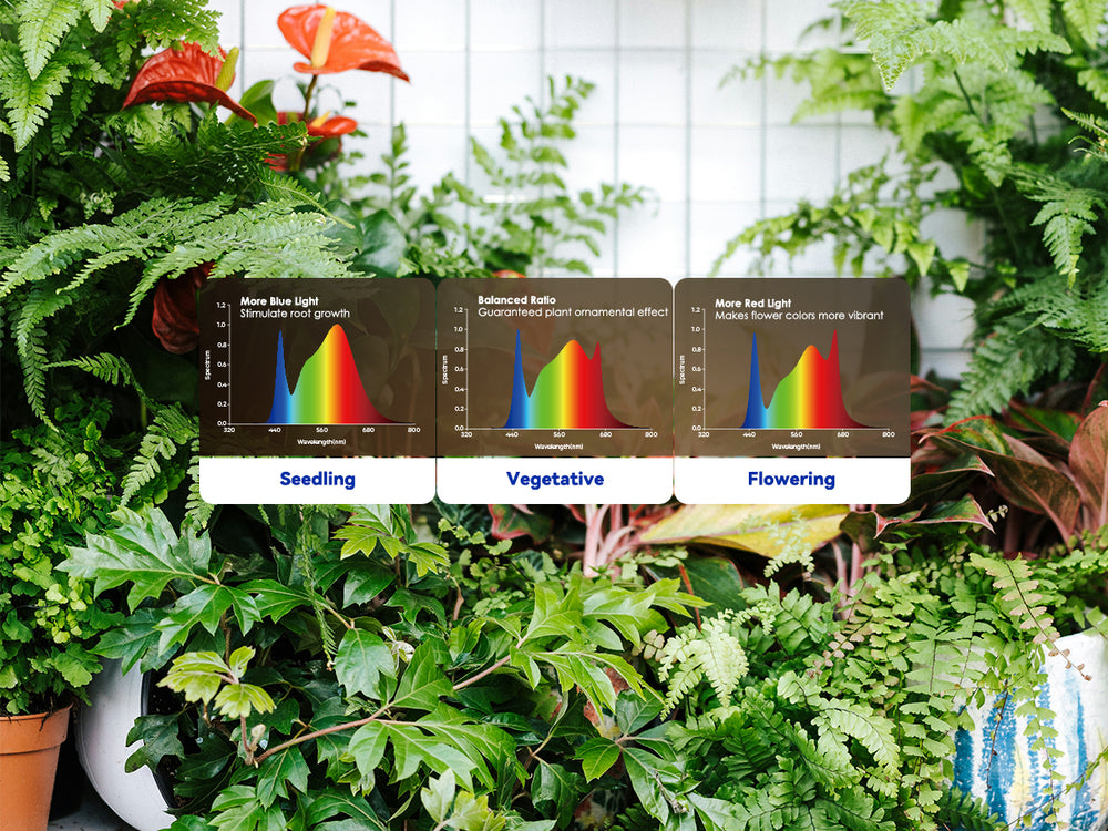  3 Light Modes · From Seedling to Full Bloom