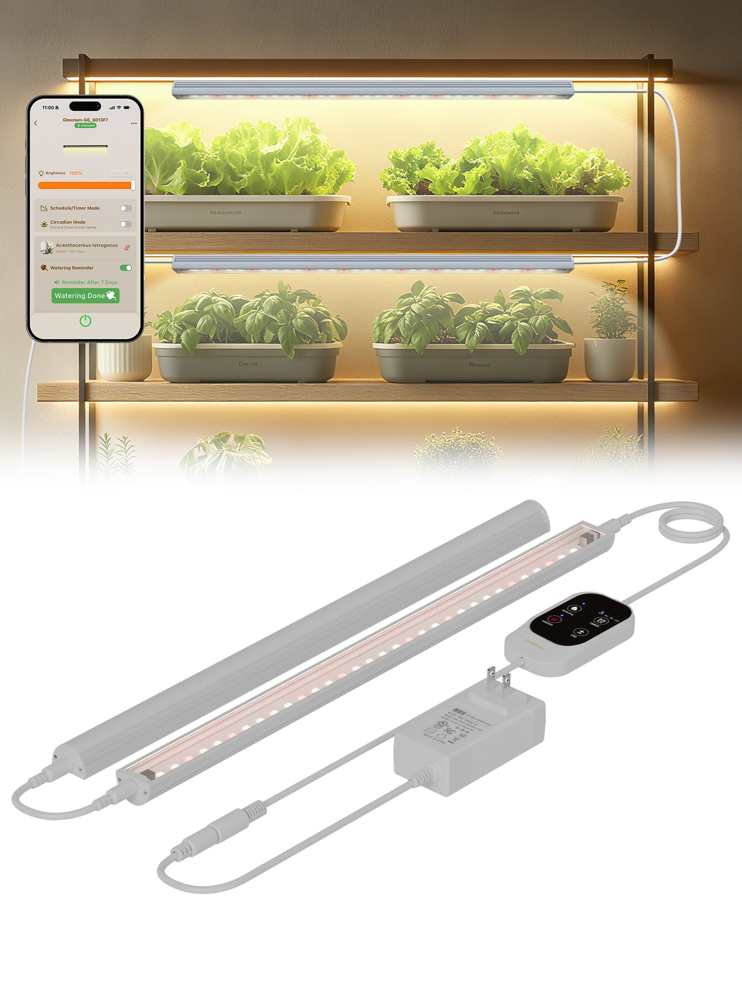 GLOWRIUM Smart LED Grow Light for Indoor Plants - Full Spectrum, Auto Timer, Stepless Dimming, Modular, Plug &amp; Play-G6