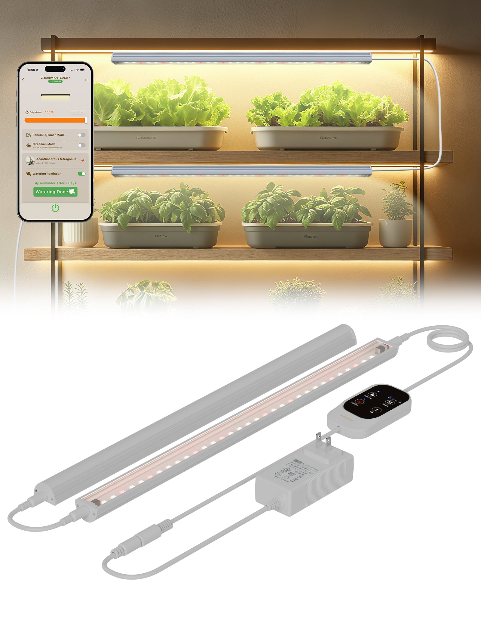 GLOWRIUM Smart LED Grow Light for Indoor Plants - Full Spectrum, Auto Timer, Stepless Dimming, Modular, Plug &amp; Play-G6
