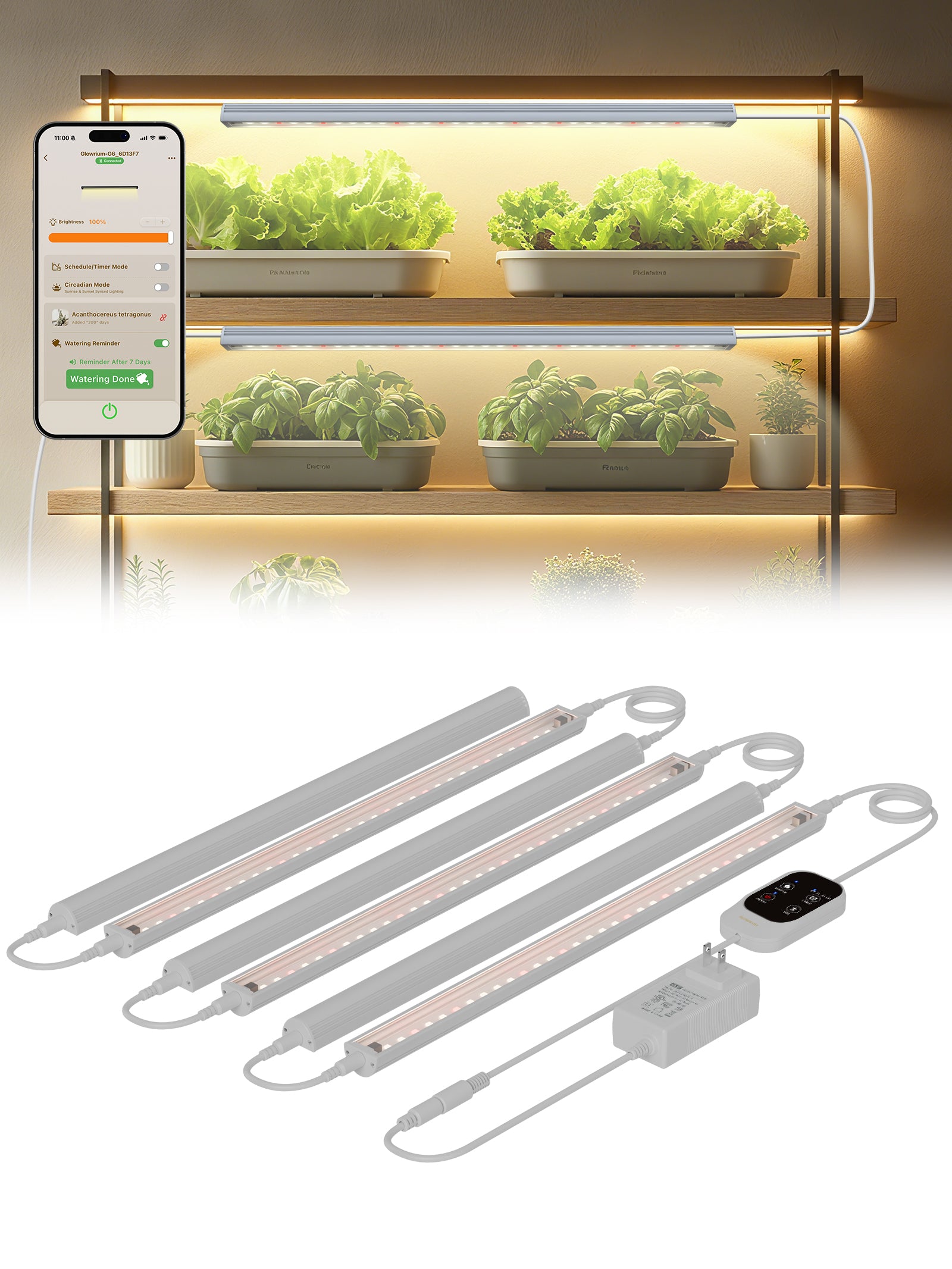 GLOWRIUM Smart LED Grow Light for Indoor Plants - Full Spectrum, Auto Timer, Stepless Dimming, Modular, Plug &amp; Play-G6