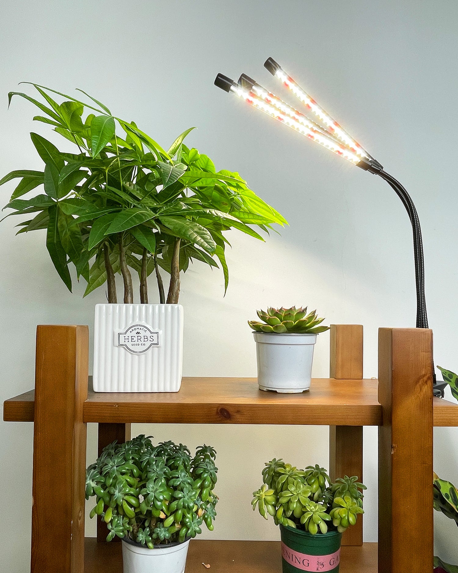 GLOWRIUM®Full Spectrum LED Clamp Grow Lights for Indoor Plants