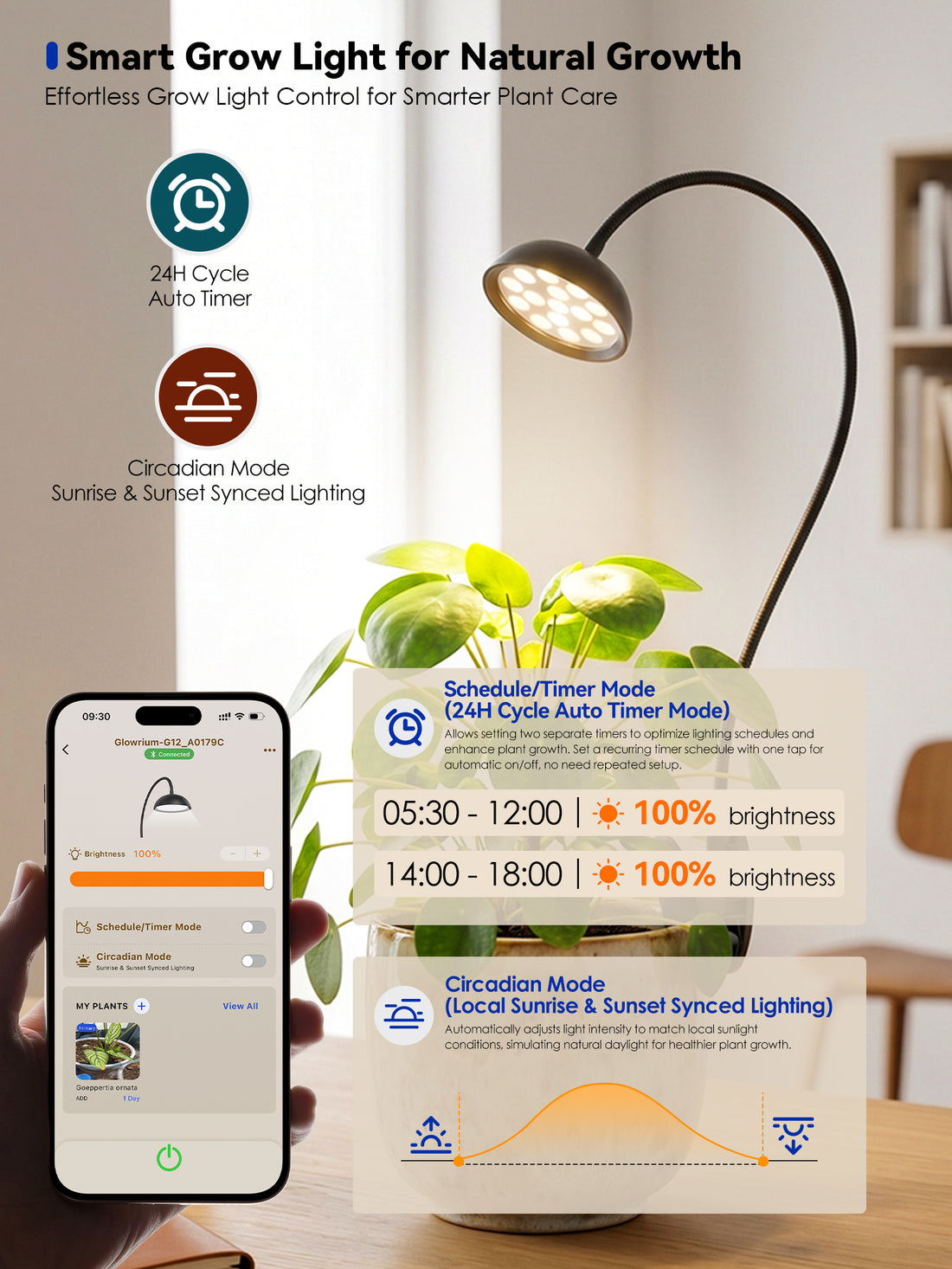 GLOWRIUM® G12 Smart Mini Grow Light - 6W Full Spectrum LED Plant Light with App Control, Timer &amp; 360° Flexible Gooseneck