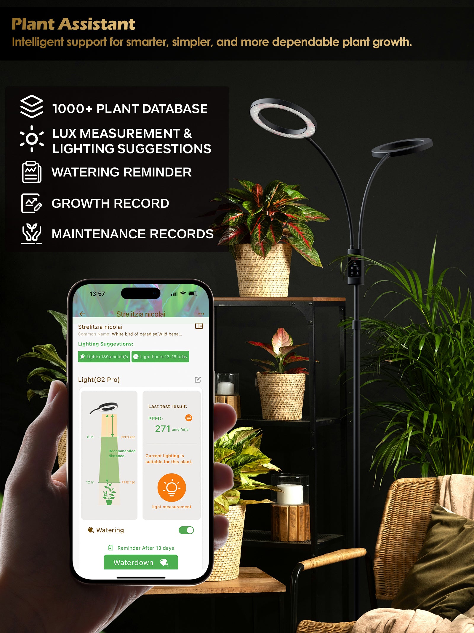 Smart Floor LED Grow Light 48W G5 – Dual-Head Full Spectrum, Adjustable Height, Stepless Dimming, Auto-Timer for Most Indoor Plants