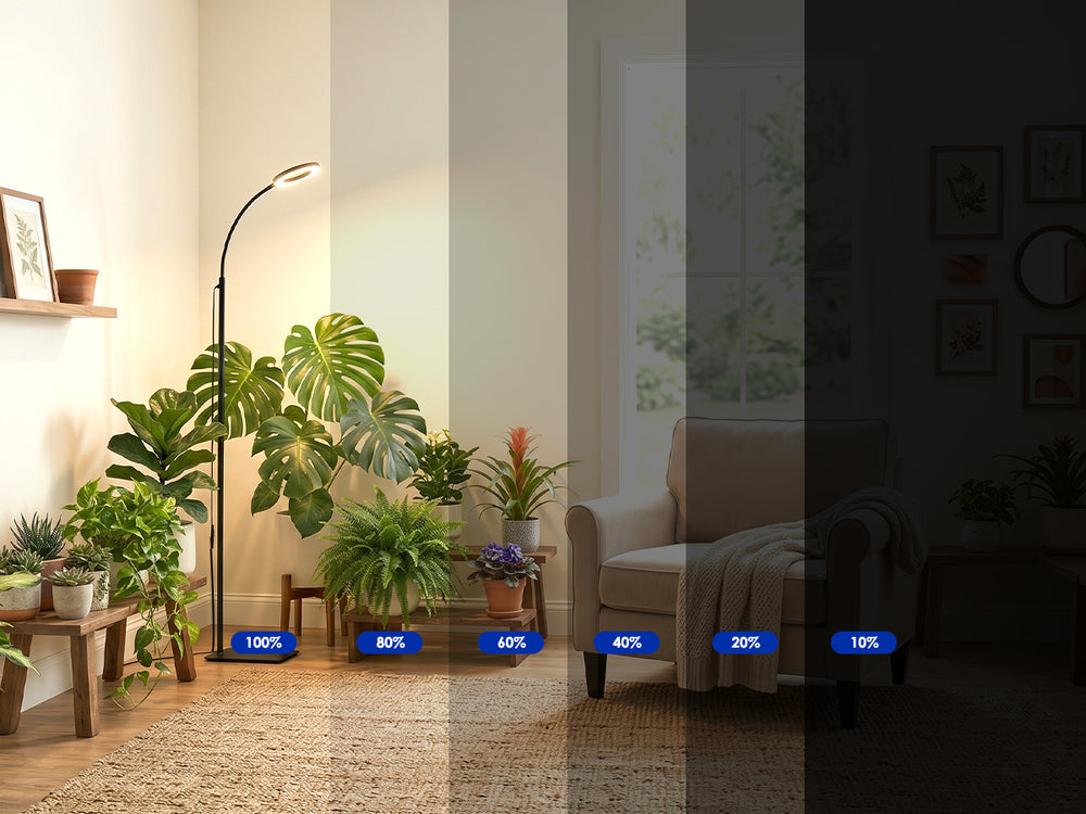 10%–100% Dimming · 6 Presets or Smooth Stepless Control