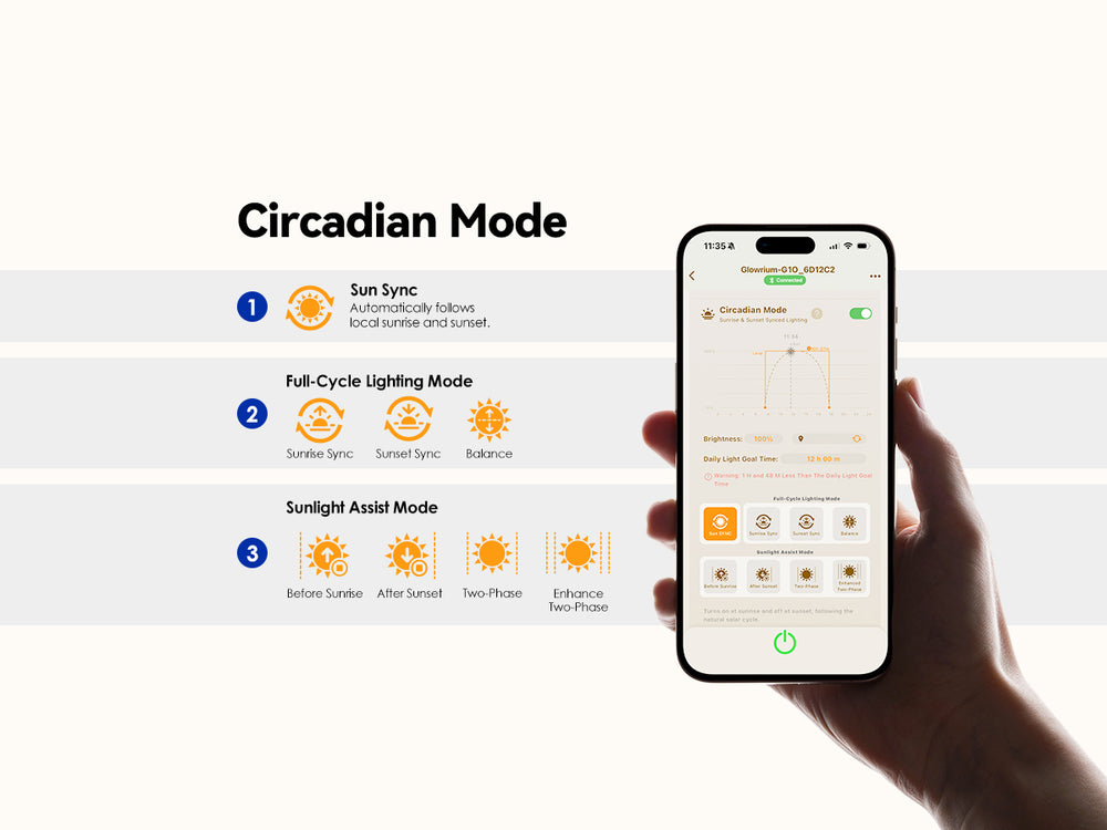 Circadian Mode--- Working Principle