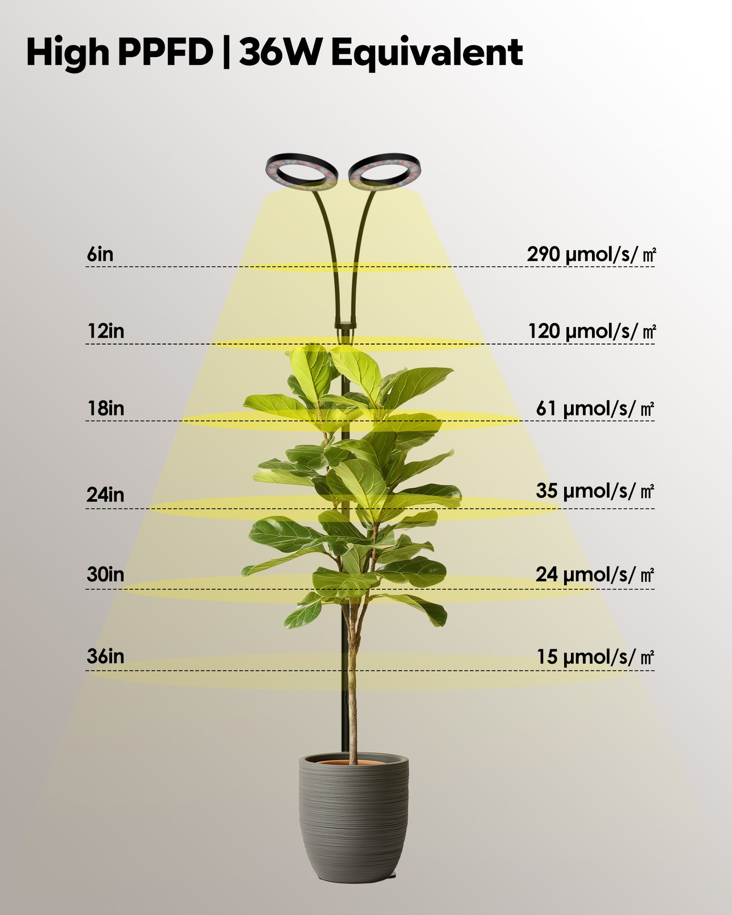 High PPFD measurements and 36W wattage specifications for GLOWRIUM G2 full spectrum plant light