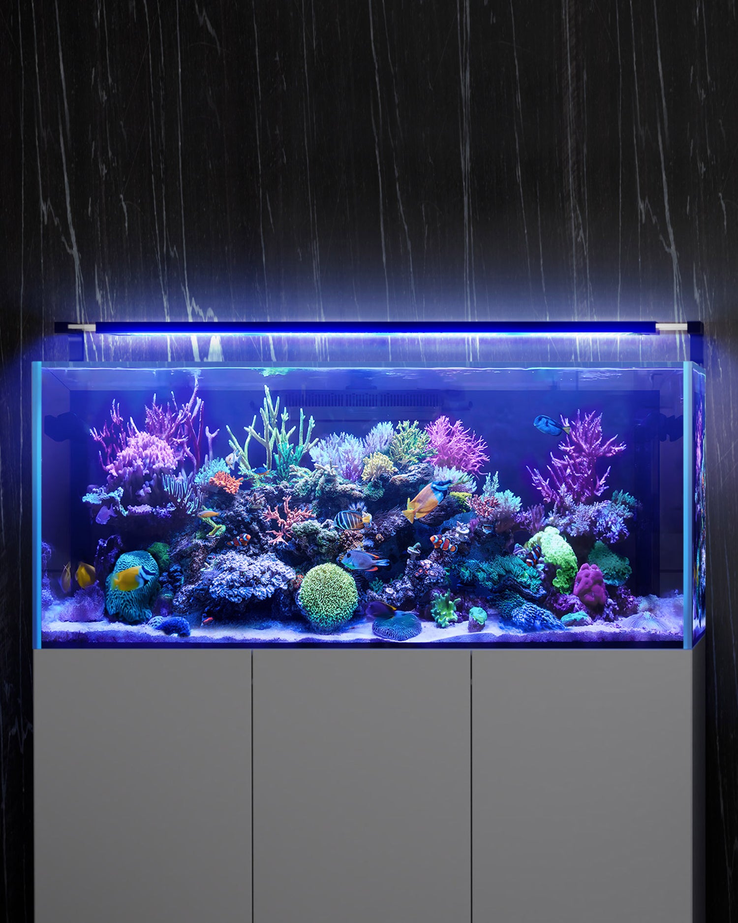 Smart Reef Coral Light Saltwater Aquarium Light App with Bluetooth + WiFi Dual Control-A2