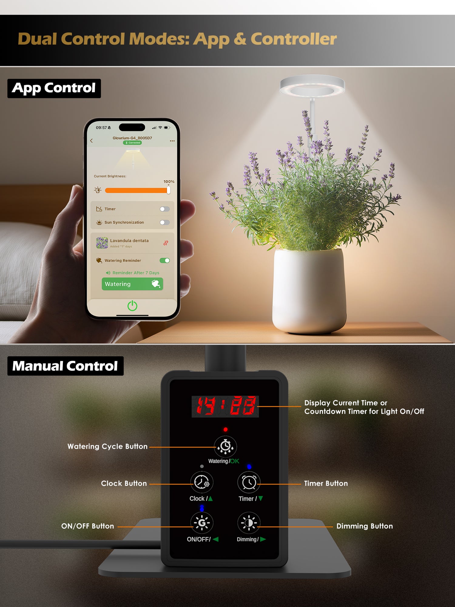GLOWRIUM Smart Grow Light – Full-Spectrum Indoor Plant Lamp with App Control, Adjustable Height, Plant Care Assistant &amp; Dual Timer-G4