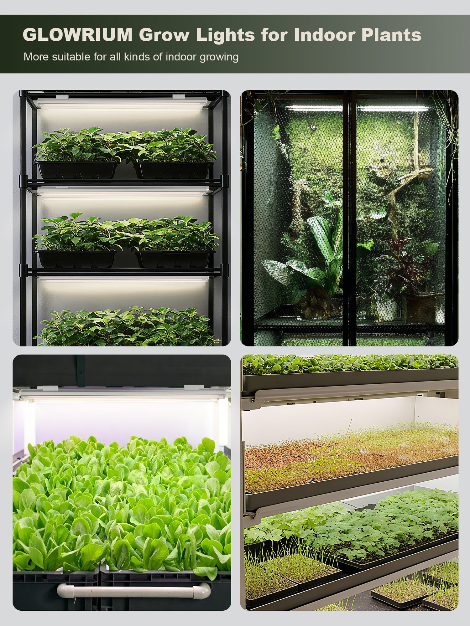 GLOWRIUM Smart Grow Light Strips with App Control – 15&quot; Full Spectrum LED Plant Lights, Auto Timer, 3 Dimming Levels, for Indoor Plants &amp; Shelves