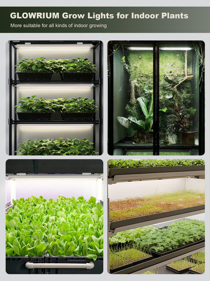 GLOWRIUM Smart Grow Light Strips with App Control – 15&quot; Full Spectrum LED Plant Lights, Auto Timer, 3 Dimming Levels, for Indoor Plants &amp; Shelves