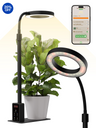 GLOWRIUM G4 | 12W Smarte Vollspektrum-LED-Desktop-Pflanzenlampe