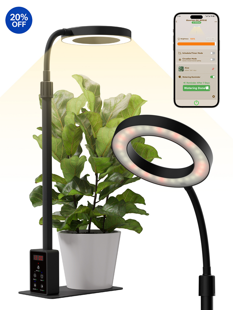 GLOWRIUM G4 | 12W Smarte Vollspektrum-LED-Desktop-Pflanzenlampe