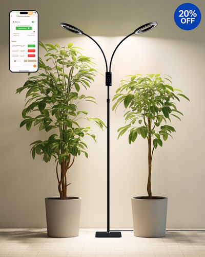 48 W Schwarz