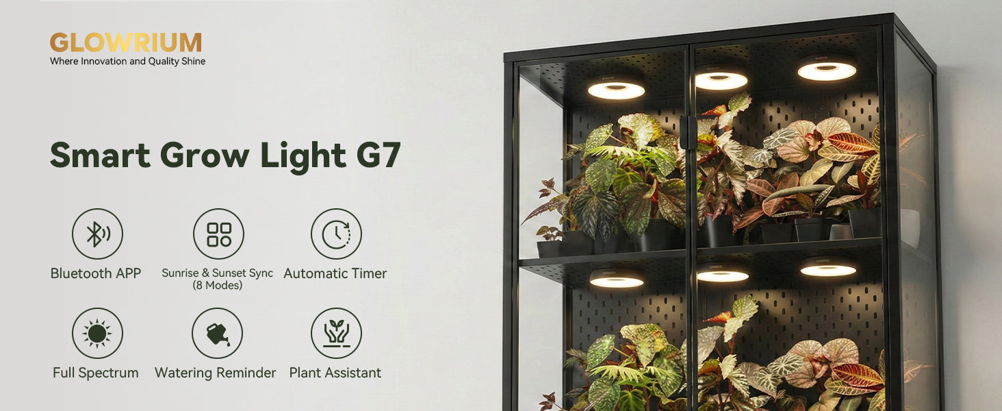 Glowrium G7 smart LED puck grow light features including Bluetooth app, 8 sunrise sunset modes, watering reminders, and integrated plant assistant