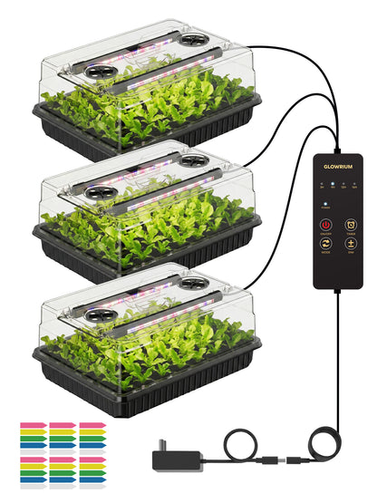 GLOWRIUM G9 | Seed Starter Kit with 30W Grow Lights
