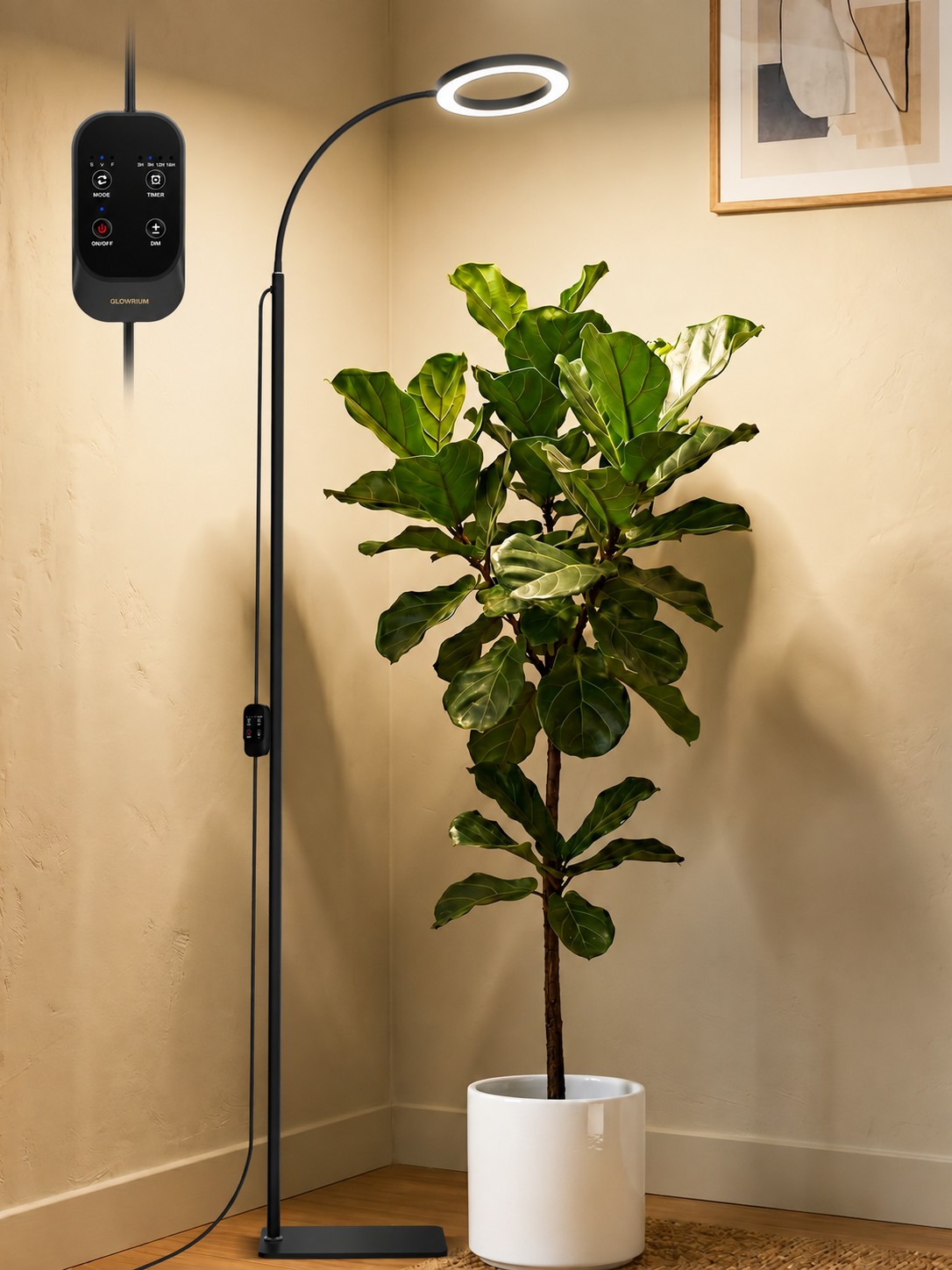 GLOWRIUM® G2 Pro 24W LED Grow Light for Indoor Plants - Full Spectrum, Adjustable Height, Timer, and Plant Assistant