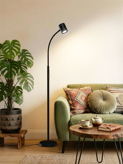 GLOWRIUM 12W LED Reading Floor Lamp H2B – 62" Tall, Dimmable Brightness &amp; Color Temperature, Adjustable Gooseneck Touch Control, Suitable for Living Room, Bedroom, and Home Office